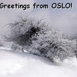 Oslo E-Card 5